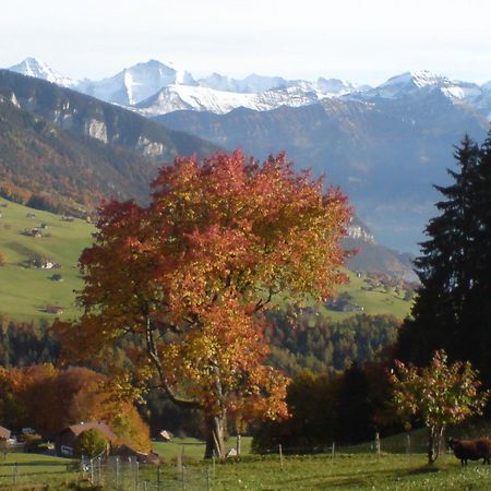 Hotel Rothorn Sigriswil Exterior foto