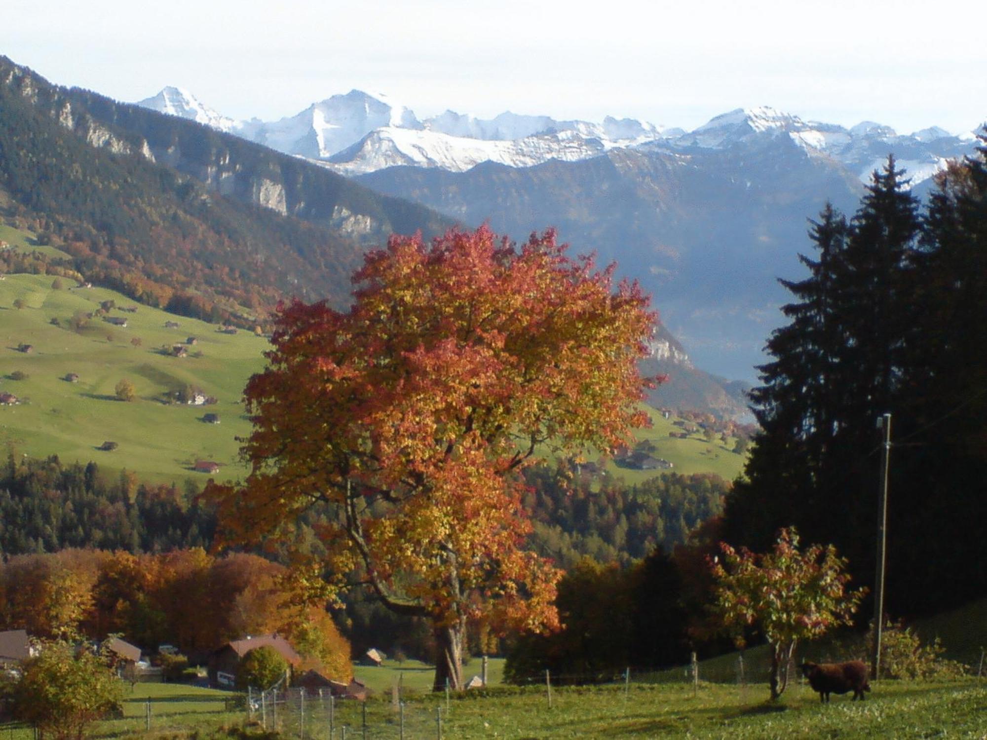 Hotel Rothorn Sigriswil Exterior foto